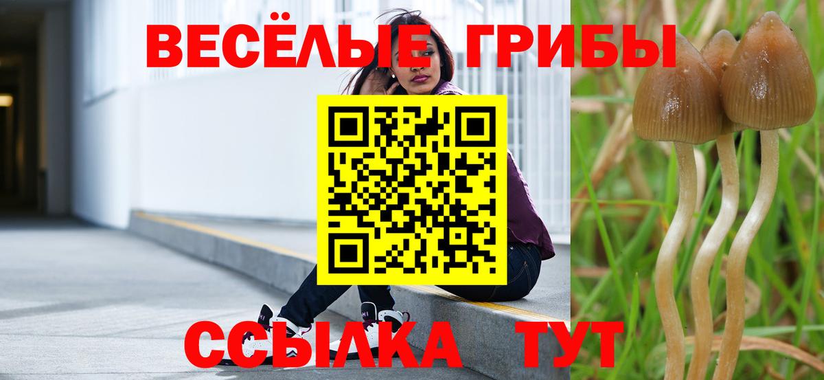 Галлюциногенные грибы Magic Shrooms  хочу   Звенигород  Псилоцибиновые грибы мухоморы  Вход с VPN 